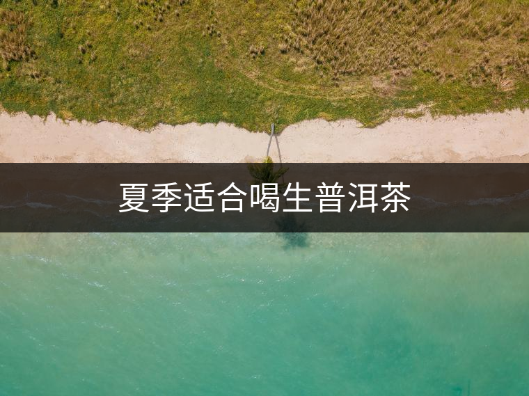 夏季適合喝生普洱茶