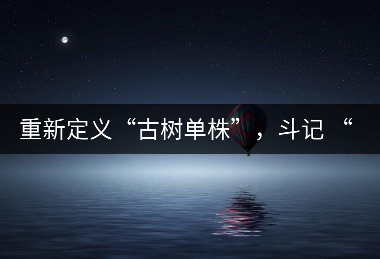 重新定義“古樹單株”,斗記 “超級審評”有償招募告罄在即! 重新定義“古樹單株”,斗記 “超級審評”有償招募告罄在即!