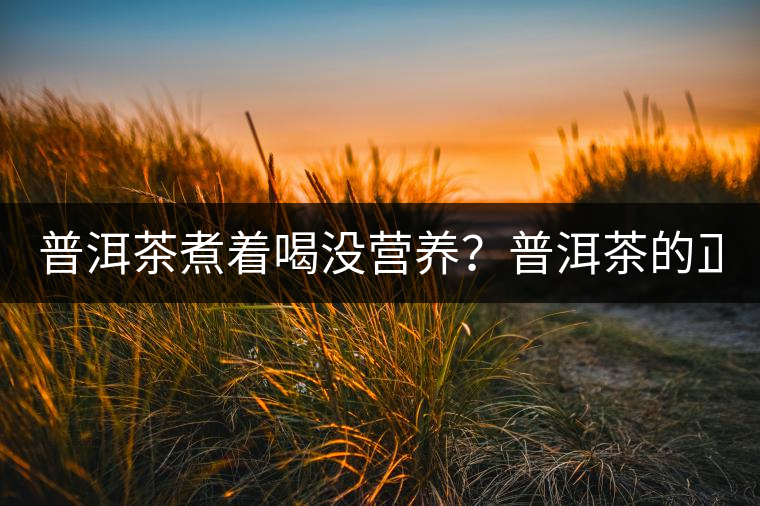 普洱茶煮著喝沒營養?普洱茶的正確煮法! 普洱茶煮著喝沒營養?普洱茶的正確煮法!