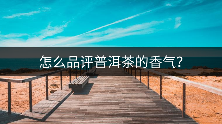 怎么品評普洱茶的香氣? 怎么品評普洱茶的香氣?