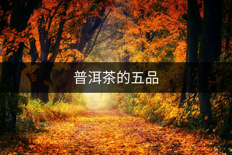 普洱茶的五品 普洱茶的五品