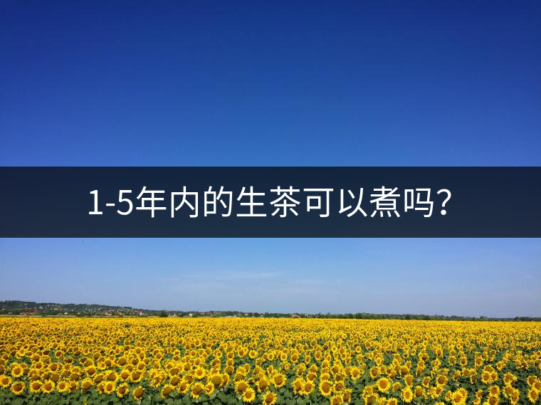 1-5年內的生茶可以煮嗎？