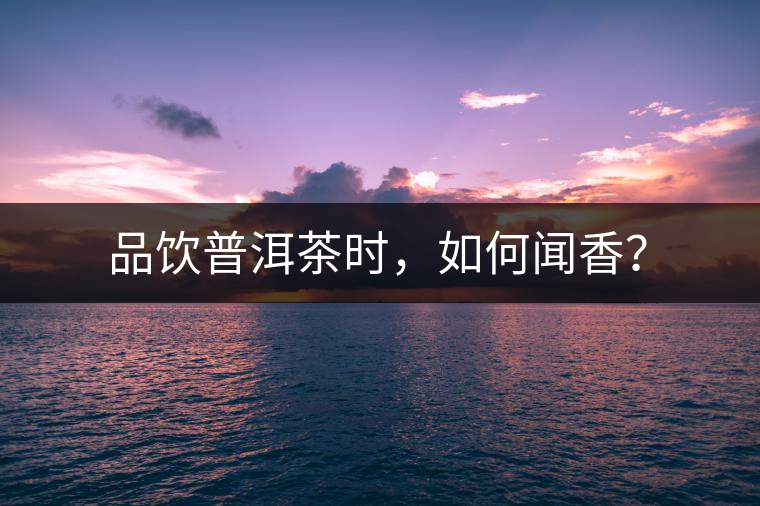 品飲普洱茶時,如何聞香? 品飲普洱茶時,如何聞香?