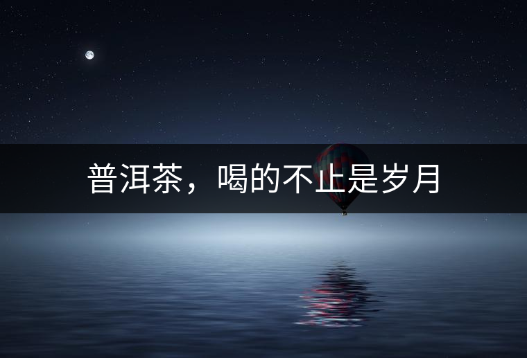 普洱茶,喝的不止是歲月 普洱茶,喝的不止是歲月