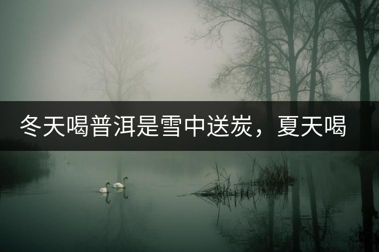 冬天喝普洱是雪中送炭，夏天喝就是火上澆油了？