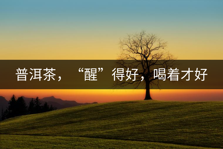 普洱茶,“醒”得好,喝著才好 普洱茶,“醒”得好,喝著才好
