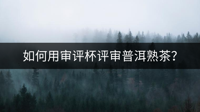 如何用審評杯評審普洱熟茶？