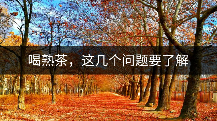 喝熟茶，這幾個問題要了解