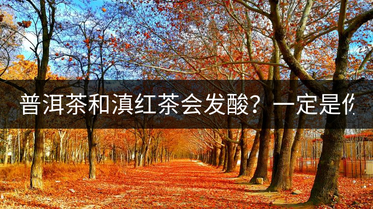 普洱茶和滇紅茶會發酸?一定是你這么做了! 普洱茶和滇紅茶會發酸?一定是你這么做了!