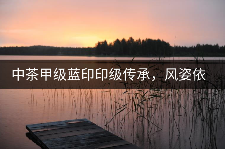 中茶甲級藍印印級傳承,風姿依舊 中茶甲級藍印印級傳承,風姿依舊