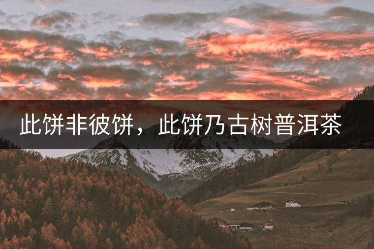 此餅非彼餅，此餅乃古樹普洱茶也