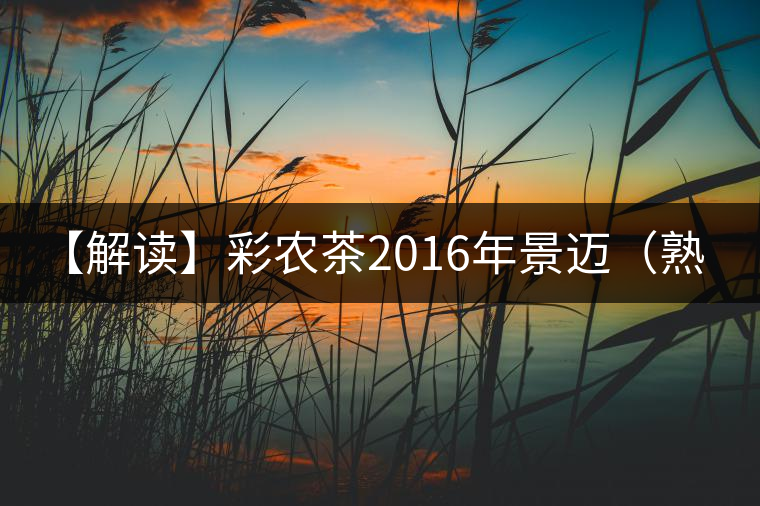 【解讀】彩農茶2016年景邁（熟）