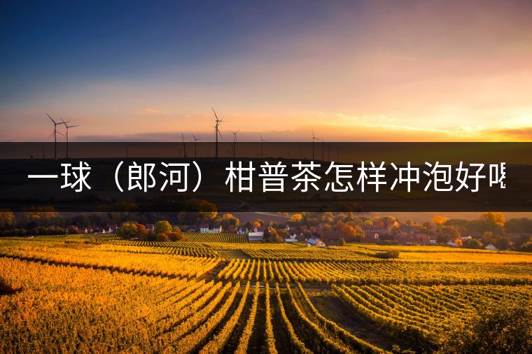 一球(郎河)柑普茶怎樣沖泡好喝? 一球(郎河)柑普茶怎樣沖泡好喝?