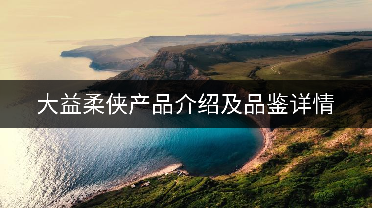 大益柔俠產品介紹及品鑒詳情