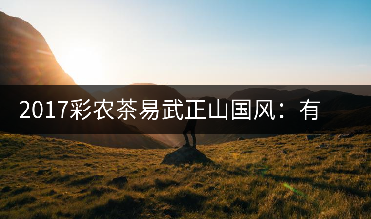 2017彩農茶易武正山國風：有茶韻，亦有國風