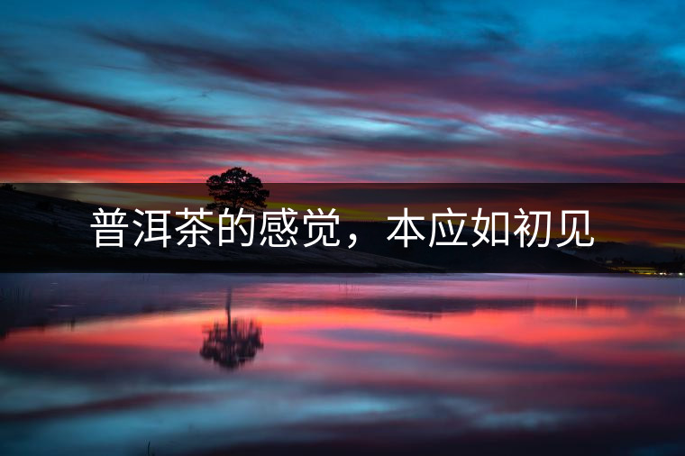 普洱茶的感覺，本應如初見