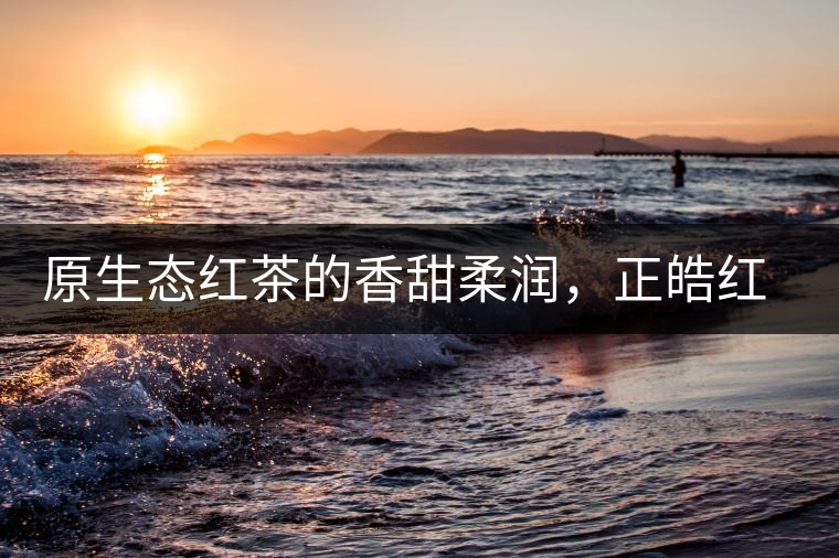 原生態紅茶的香甜柔潤,正皓紅的魅力無可抵擋! 原生態紅茶的香甜柔潤,正皓紅的魅力無可抵擋!