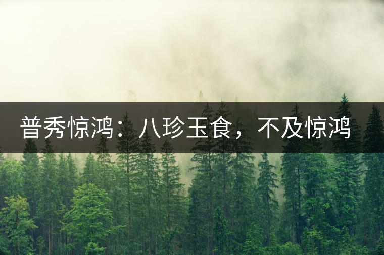 普秀驚鴻:八珍玉食,不及驚鴻一湯 普秀驚鴻:八珍玉食,不及驚鴻一湯