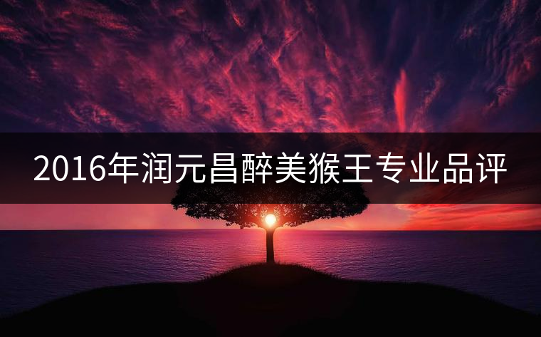 2016年潤元昌醉美猴王專業(yè)品評