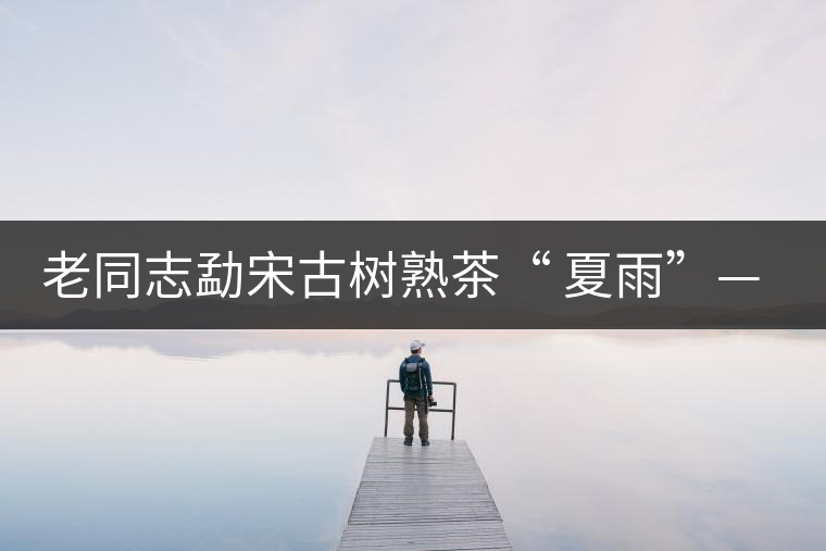 老同志勐宋古樹熟茶“ 夏雨”— 飲茶伴夏,只為您! 老同志勐宋古樹熟茶“ 夏雨”— 飲茶伴夏,只為您!