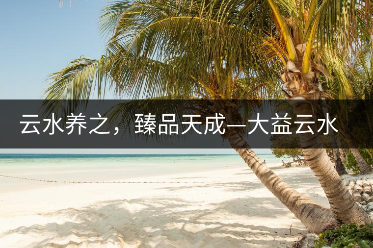 云水養之,臻品天成—大益云水臻開湯 云水養之,臻品天成—大益云水臻開湯