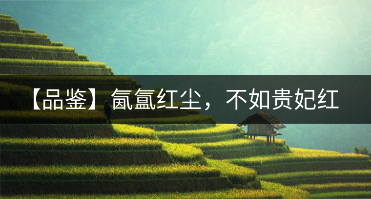 【品鑒】氤氳紅塵，不如貴妃紅一盞