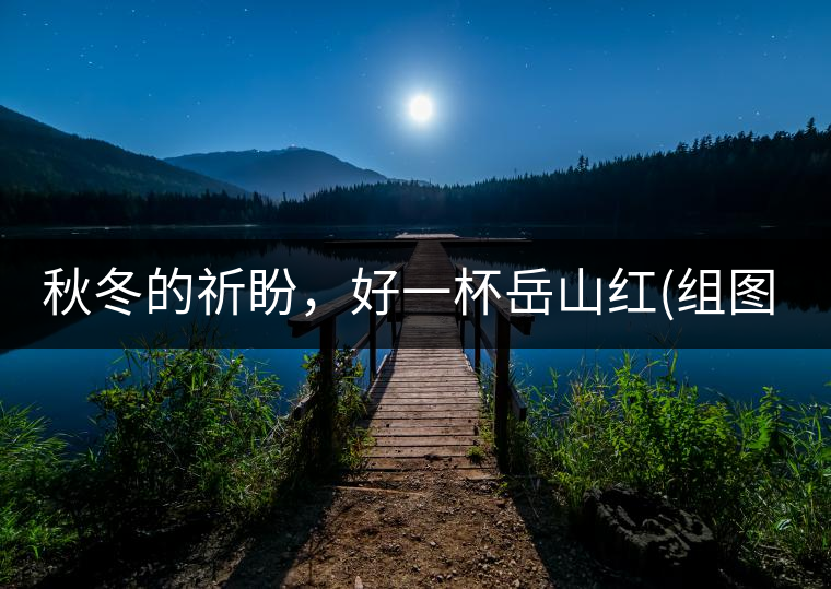 秋冬的祈盼,好一杯岳山紅(組圖) 秋冬的祈盼,好一杯岳山紅(組圖)