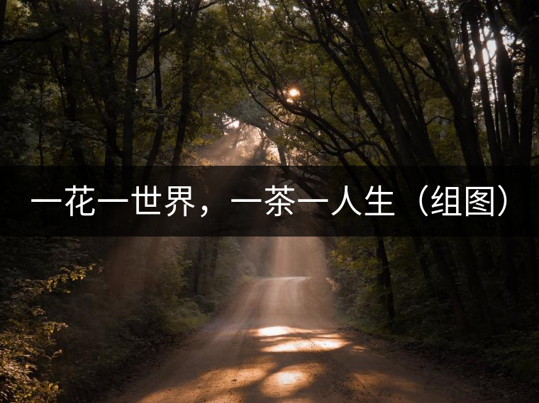 一花一世界，一茶一人生（組圖）