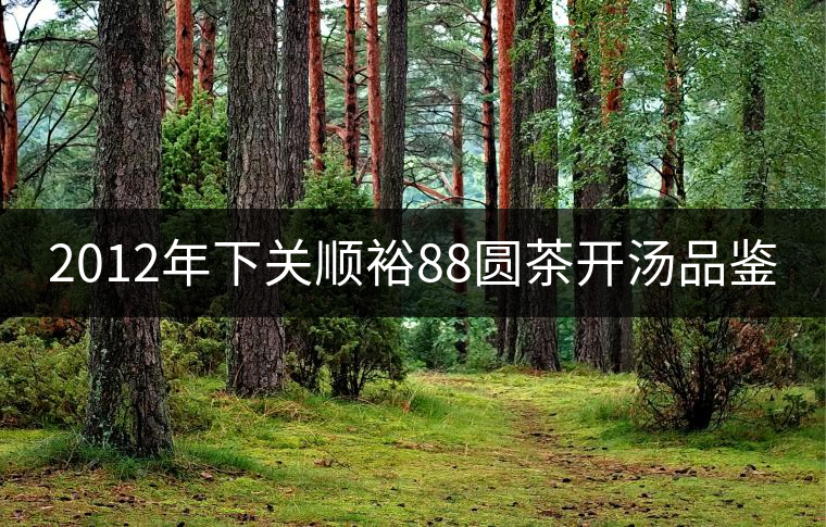 2012年下關順裕88圓茶開湯品鑒