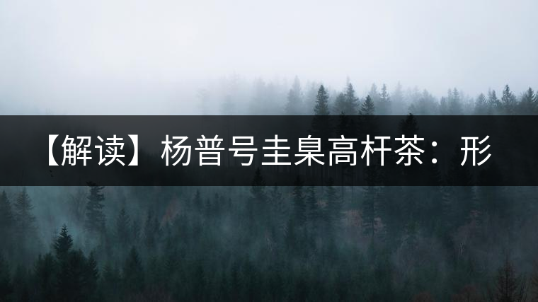 【解讀】楊普號圭臬高桿茶：形高、氣足、韻遠的一款茶