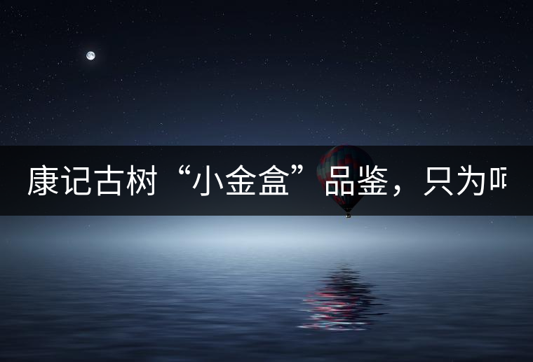 康記古樹“小金盒”品鑒,只為呵護您的味蕾! 康記古樹“小金盒”品鑒,只為呵護您的味蕾!