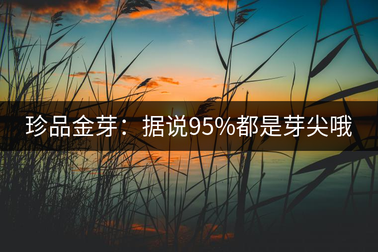 珍品金芽：據說95%都是芽尖哦