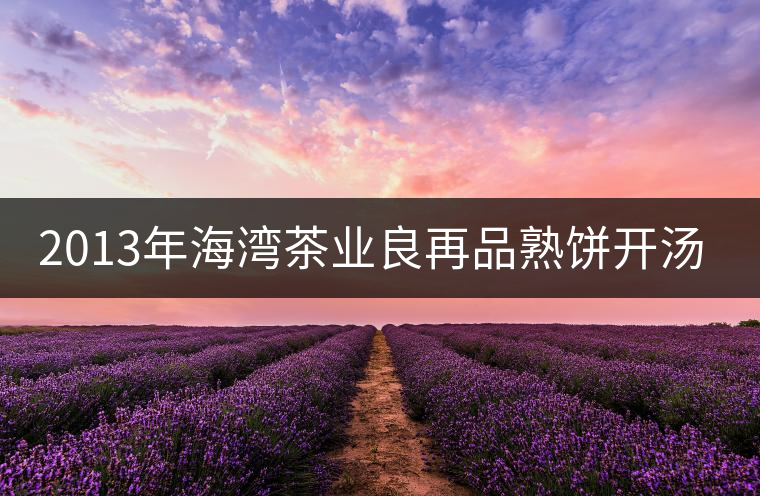 2013年海灣茶業良再品熟餅開湯品鑒 2013年海灣茶業良再品熟餅開湯品鑒