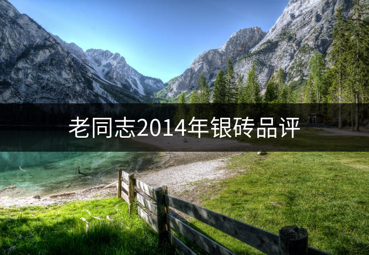 老同志2014年銀磚品評 老同志2014年銀磚品評