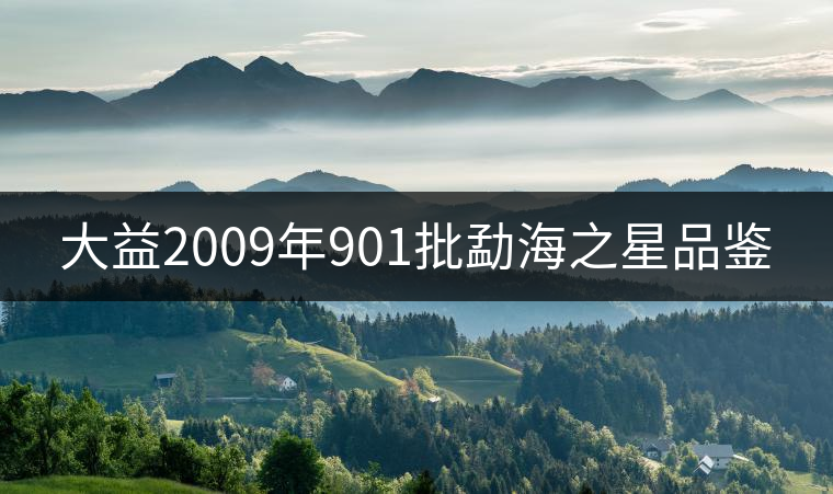 大益2009年901批勐海之星品鑒 大益2009年901批勐海之星品鑒