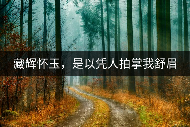 藏輝懷玉,是以憑人拍掌我舒眉 藏輝懷玉,是以憑人拍掌我舒眉
