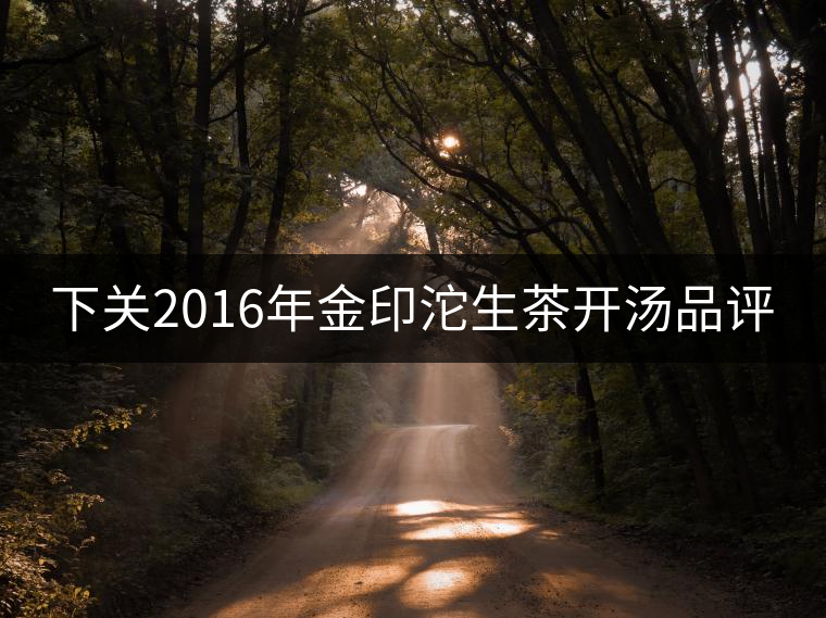 下關2016年金印沱生茶開湯品評 下關2016年金印沱生茶開湯品評