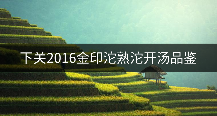 下關(guān)2016金印沱熟沱開(kāi)湯品鑒