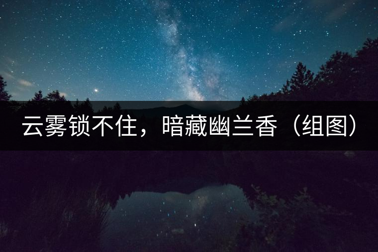 云霧鎖不住，暗藏幽蘭香（組圖）