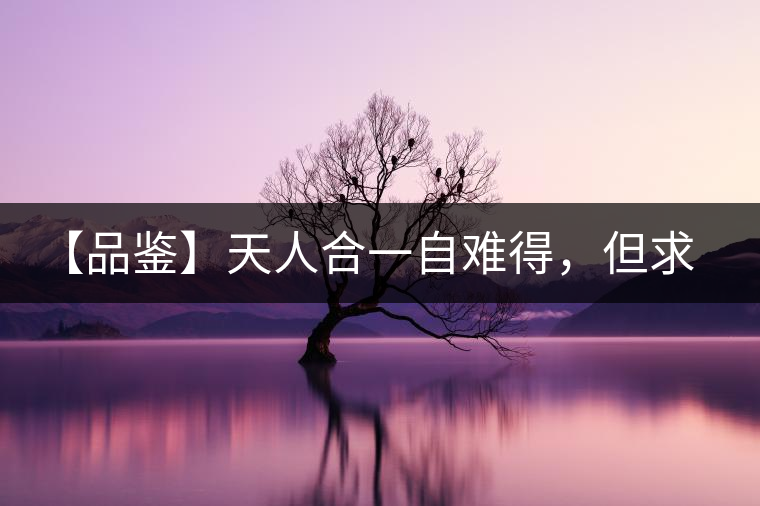 【品鑒】天人合一自難得,但求得茶之本味 【品鑒】天人合一自難得,但求得茶之本味