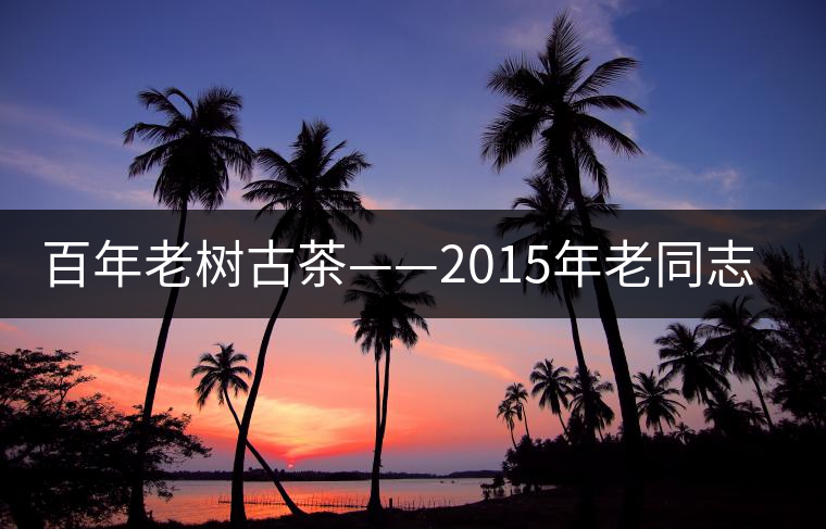百年老樹古茶——2015年老同志一號(hào)熟餅 百年老樹古茶——2015年老同志一號(hào)熟餅