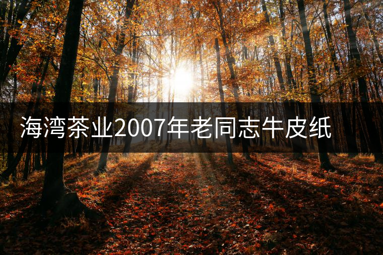 海灣茶業2007年老同志牛皮紙茶磚開湯品鑒 海灣茶業2007年老同志牛皮紙茶磚開湯品鑒