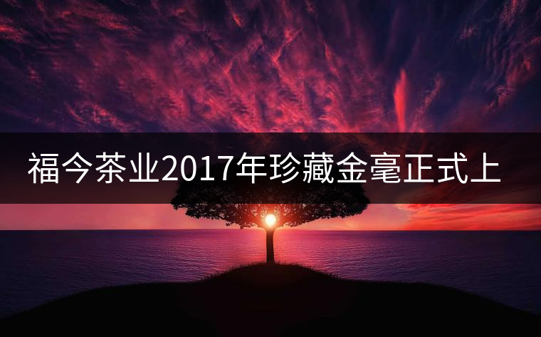 福今茶業2017年珍藏金毫正式上市