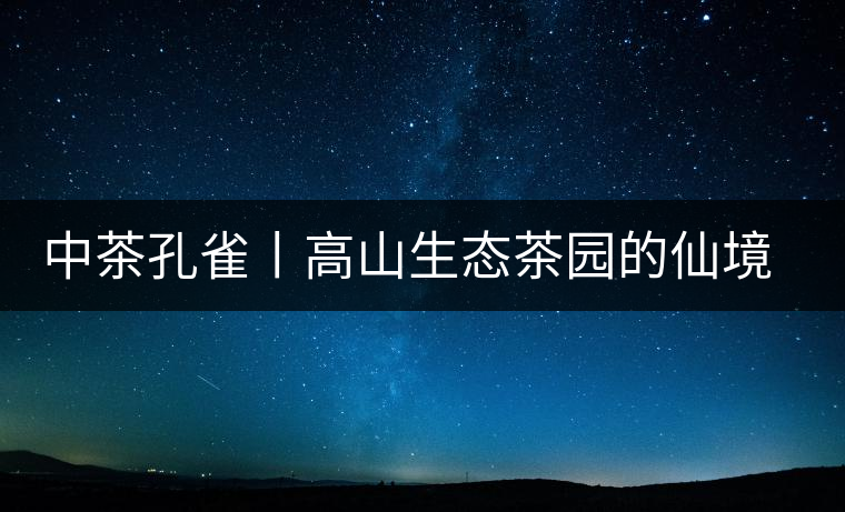 中茶孔雀丨高山生態茶園的仙境氣息