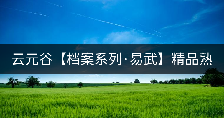 云元谷【檔案系列·易武】精品熟茶，精裝上市！