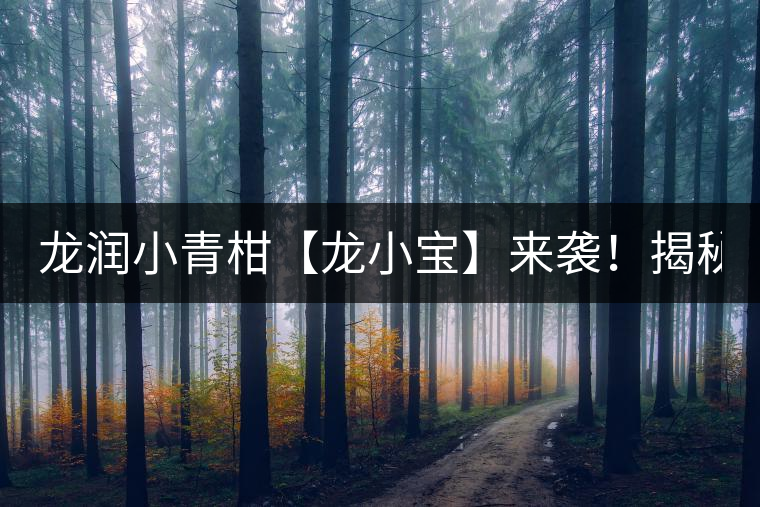 龍潤小青柑【龍小寶】來襲!揭秘它的前半生! 龍潤小青柑【龍小寶】來襲!揭秘它的前半生!