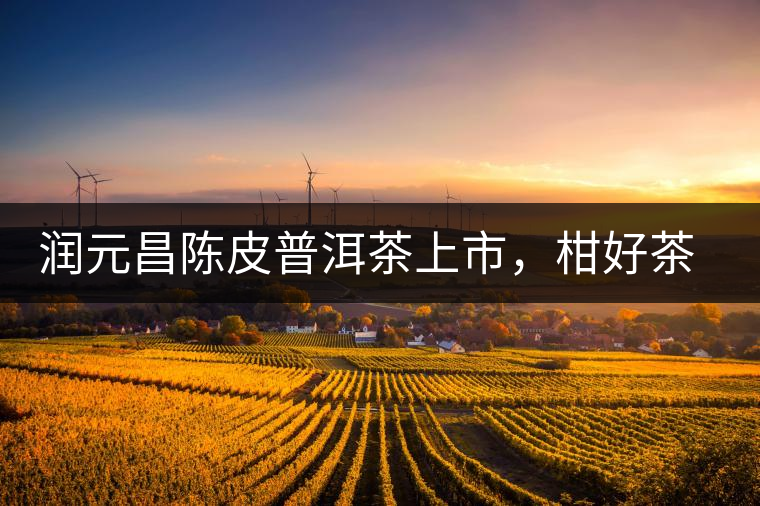 潤(rùn)元昌陳皮普洱茶上市,柑好茶更好,精品普洱茶 潤(rùn)元昌陳皮普洱茶上市,柑好茶更好,精品普洱茶