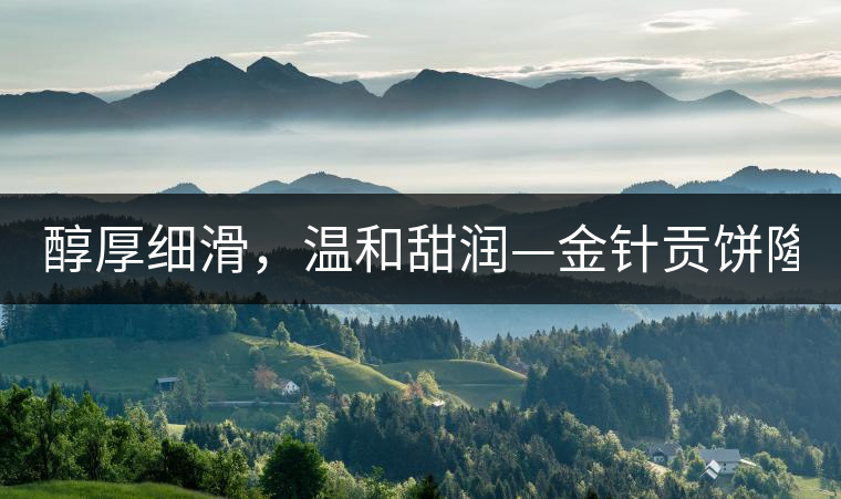 醇厚細(xì)滑,溫和甜潤—金針貢餅隆重上市! 醇厚細(xì)滑,溫和甜潤—金針貢餅隆重上市!