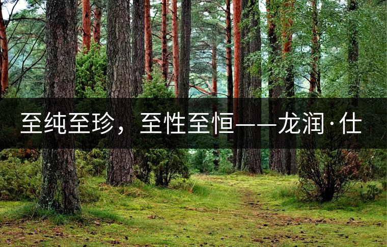 至純至珍，至性至恒——龍潤·仕通茶新上市！