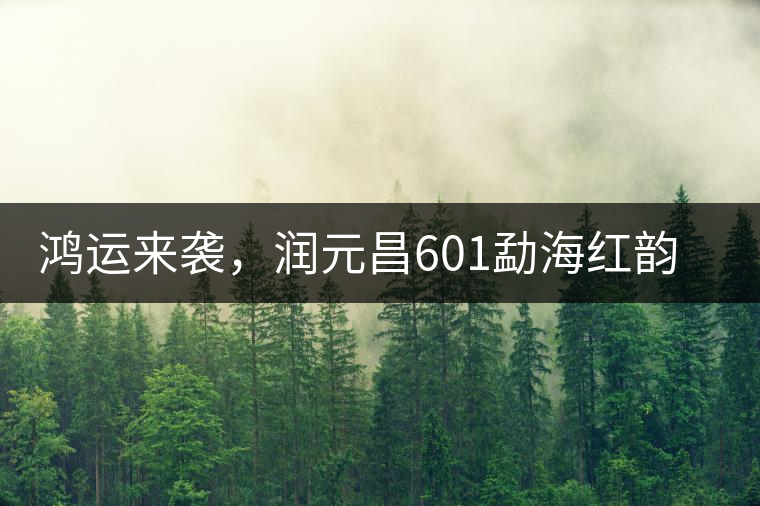 鴻運來襲，潤元昌601勐海紅韻熟茶即將上市